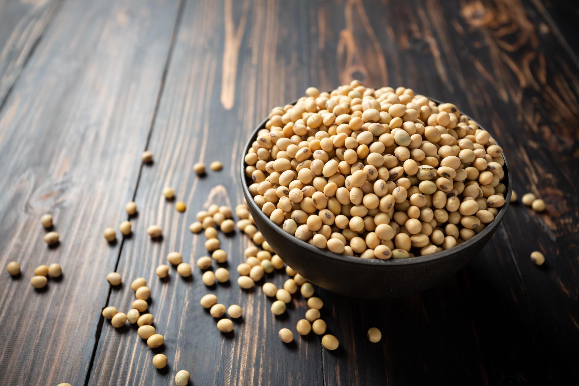 Soybean Seeds
