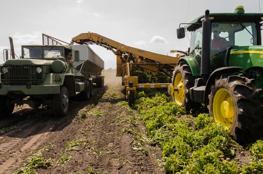 Indonesia halts rice, sugar, and corn imports for 2026