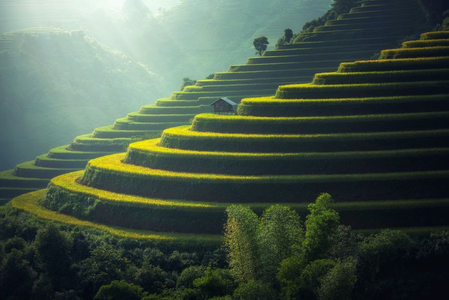 Indonesia expands rice reserves ahead of a bigger harvest and food programs